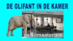 Een olifant in een kantoor