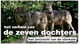 twee wolven