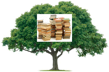 boom van kennis
